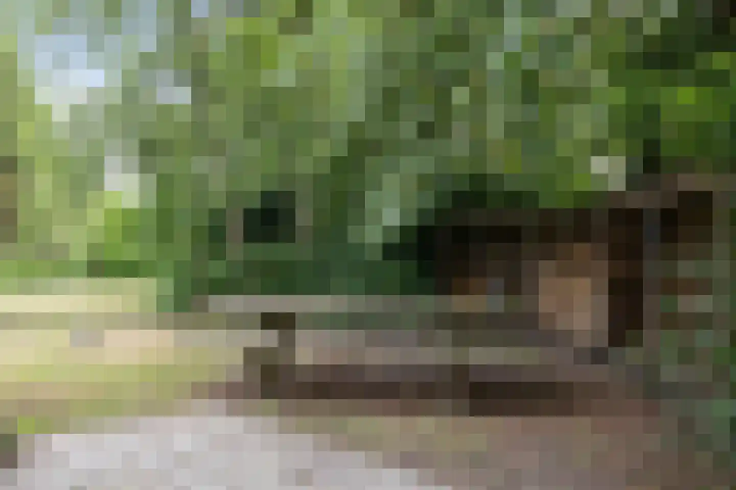 Mepperstraat 40 Meppen thumbnail 14