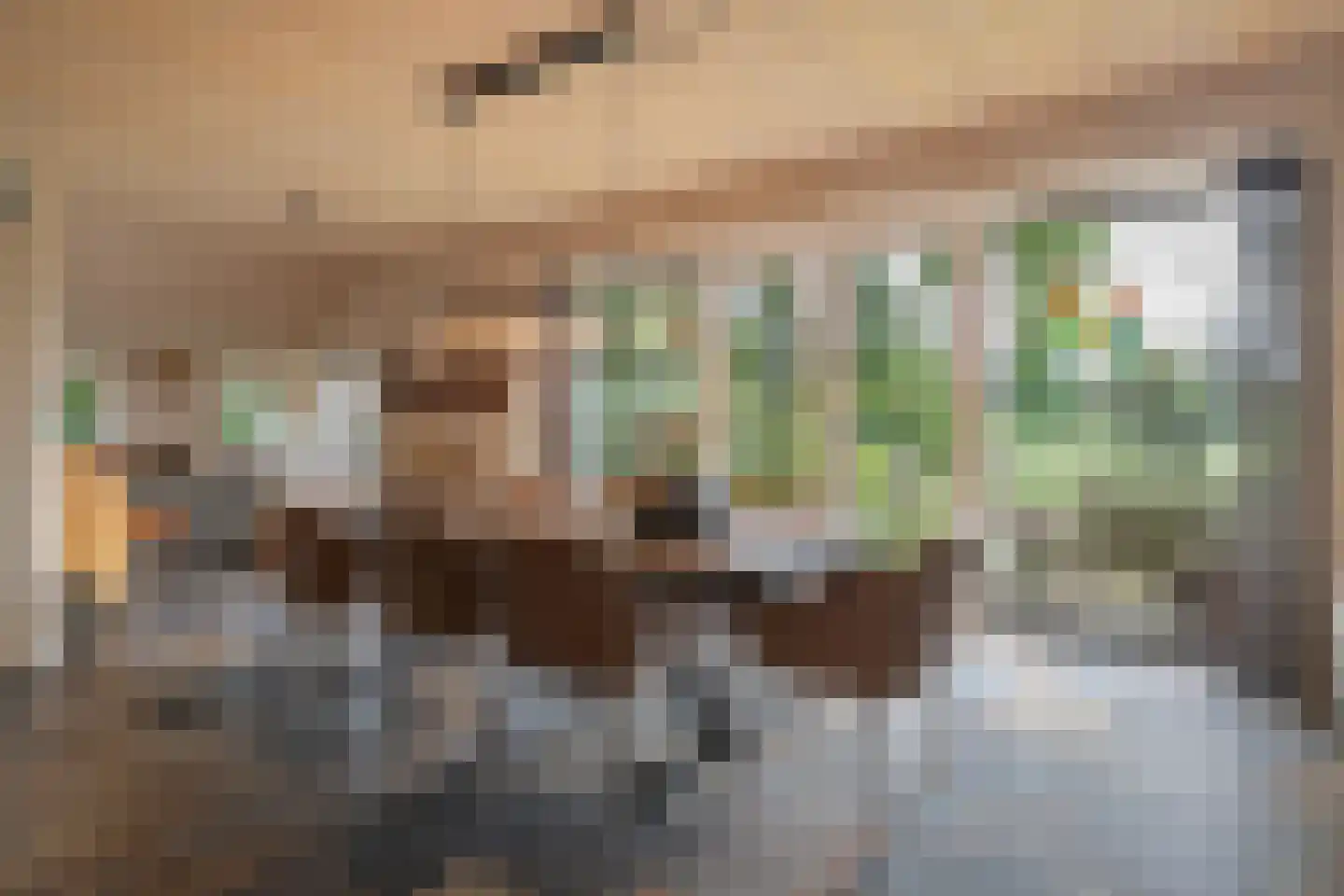 Mepperstraat 40 Meppen thumbnail 23