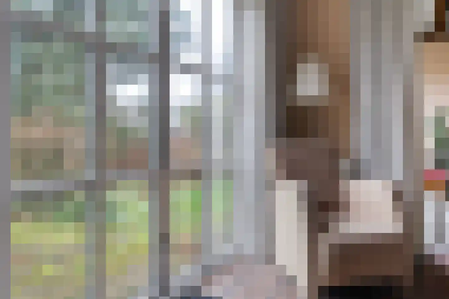 Mepperstraat 40 Meppen thumbnail 28