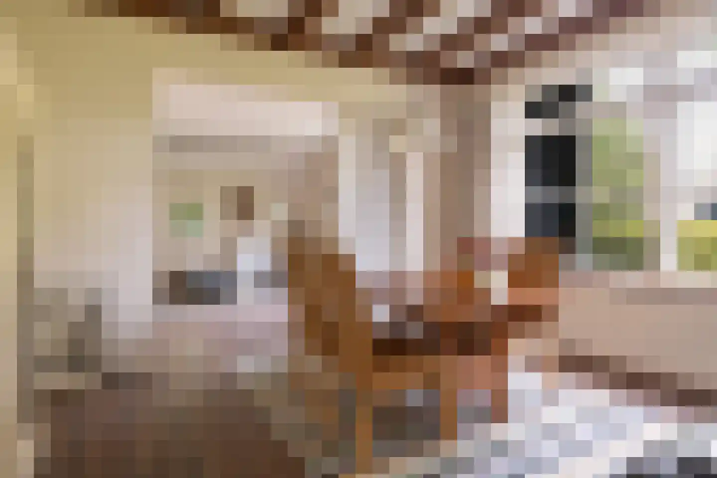 Mepperstraat 40 Meppen thumbnail 37