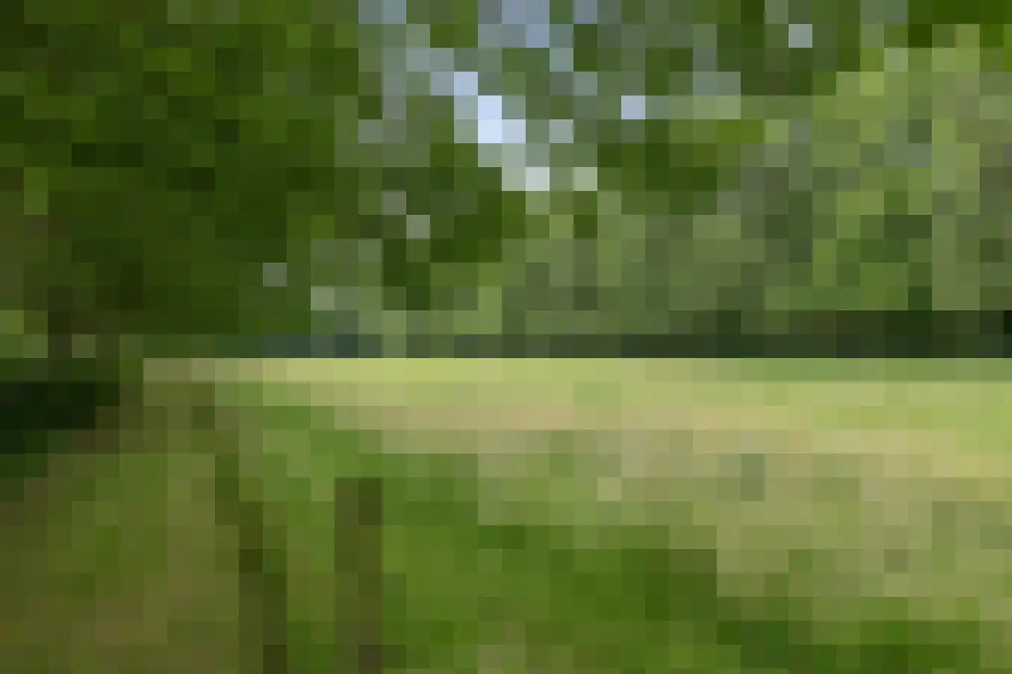 Mepperstraat 40 Meppen thumbnail 5