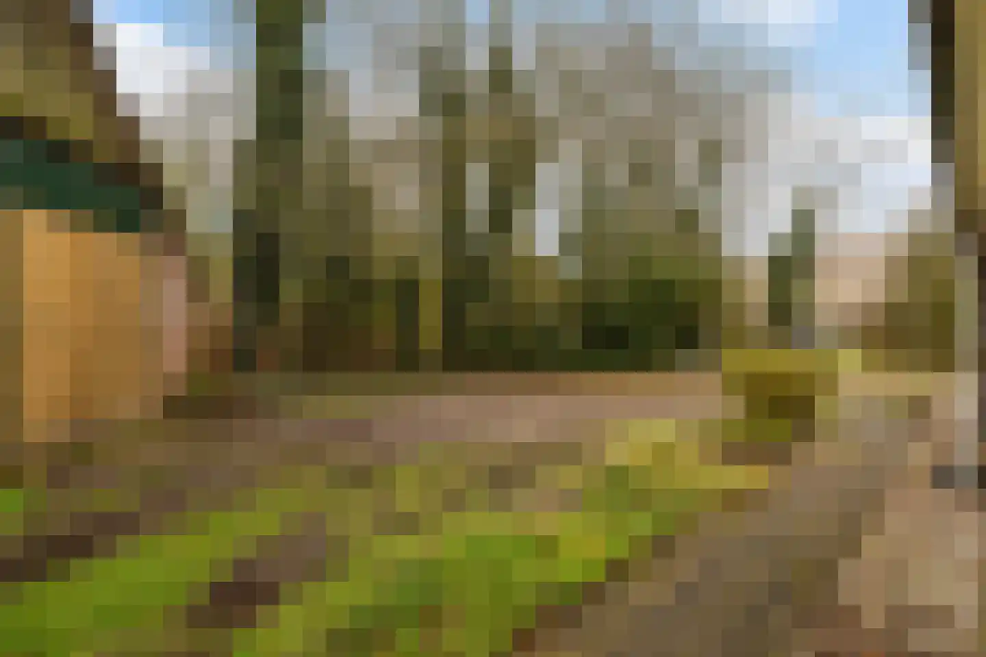 Mepperstraat 40 Meppen thumbnail 54