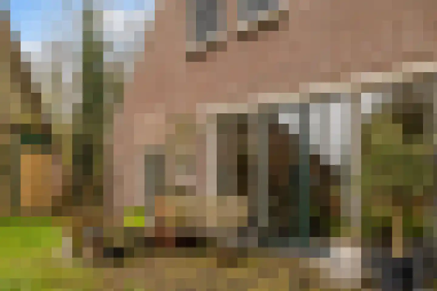 Mepperstraat 40 Meppen thumbnail 55