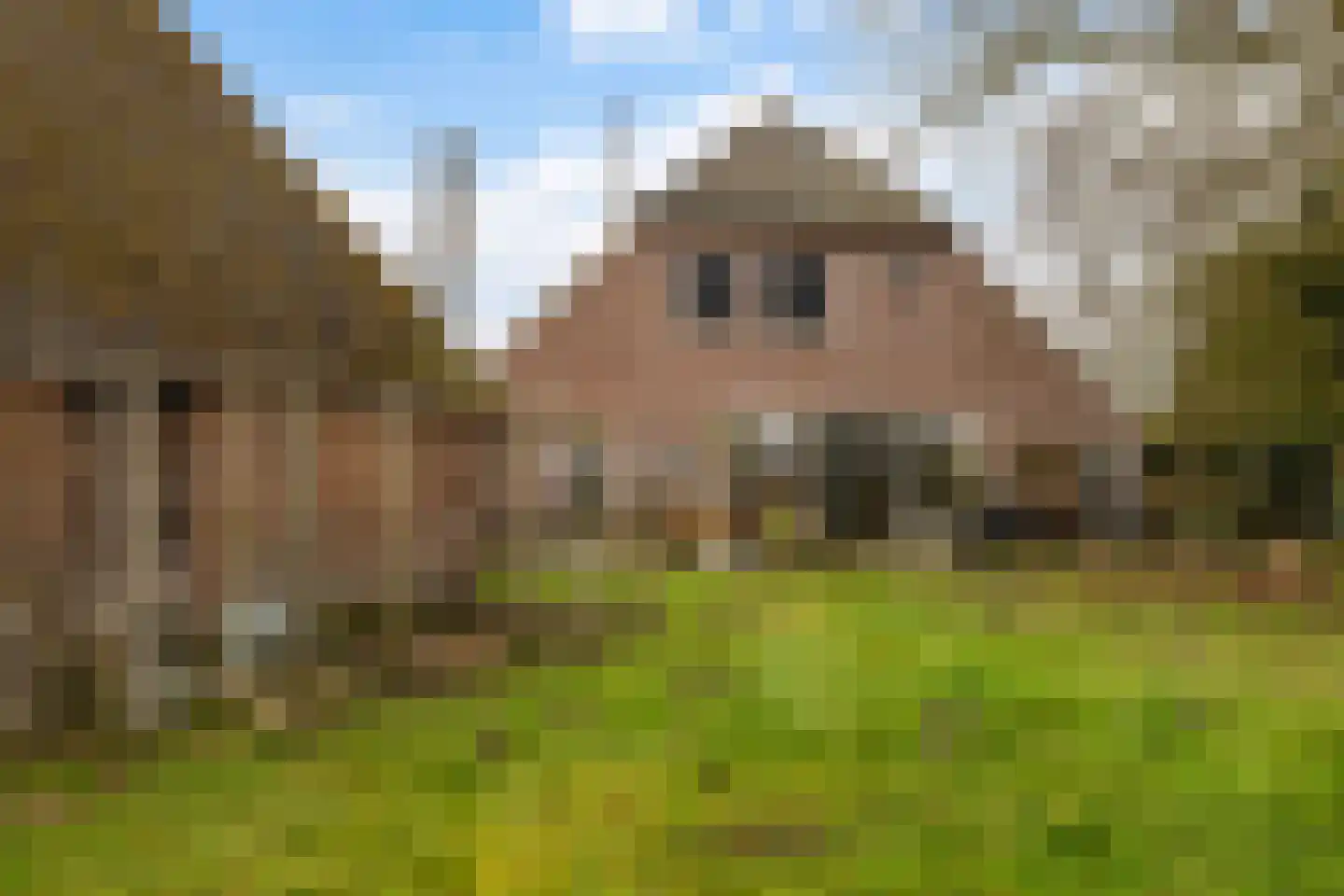 Mepperstraat 40 Meppen thumbnail 57