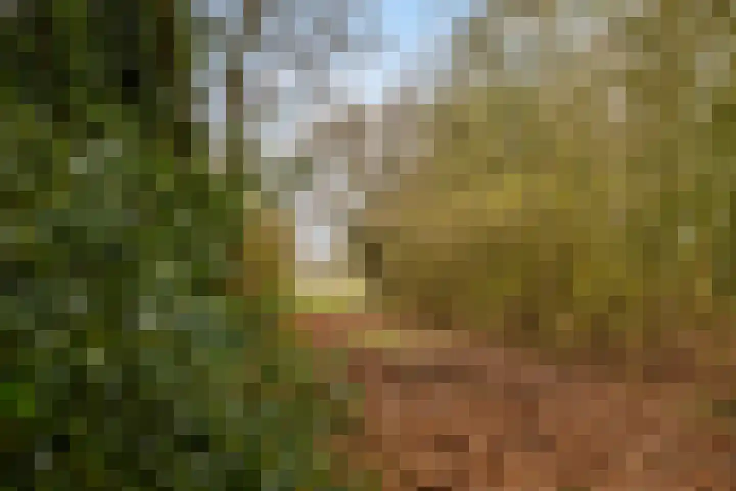 Mepperstraat 40 Meppen thumbnail 64