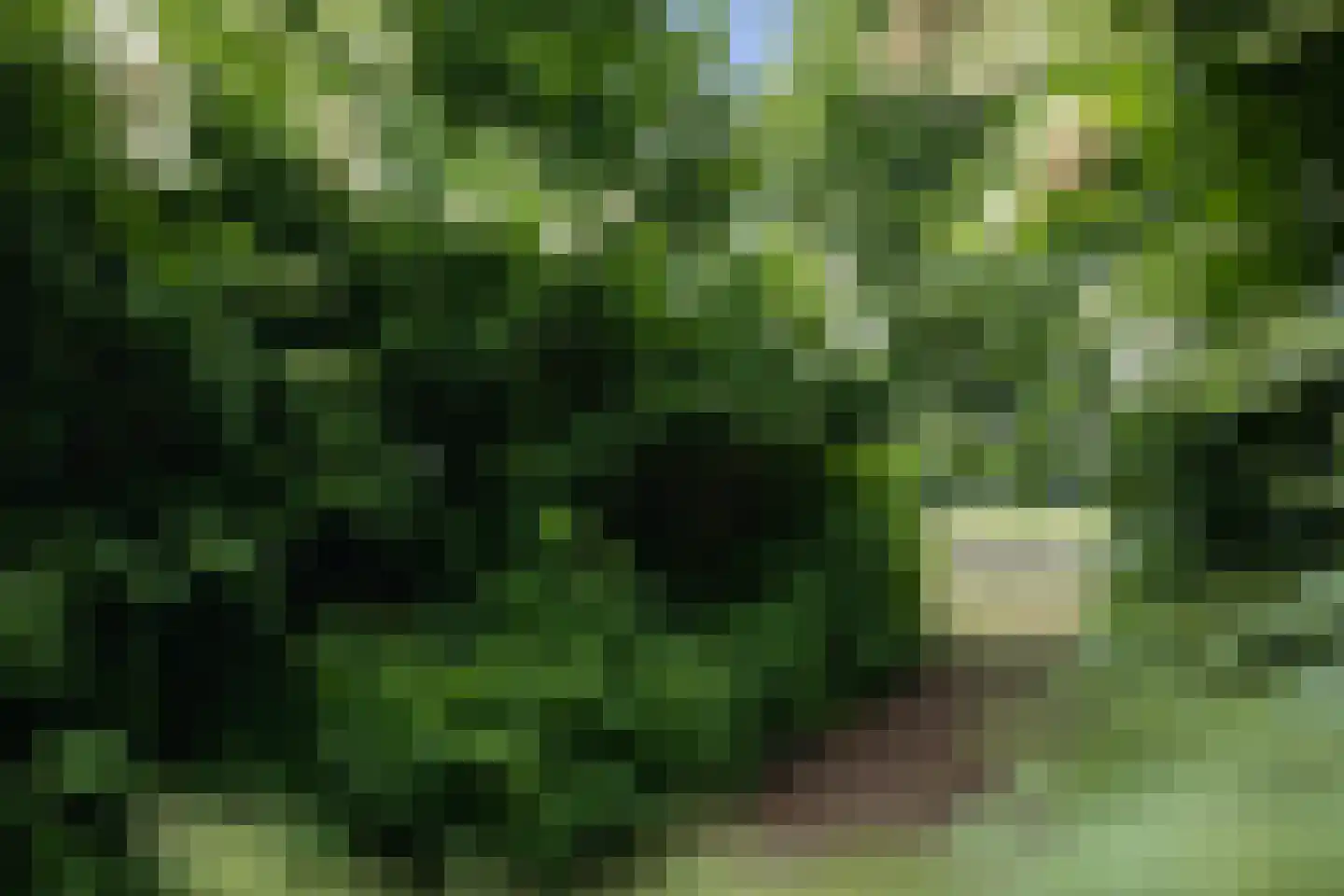 Mepperstraat 40 Meppen thumbnail 69
