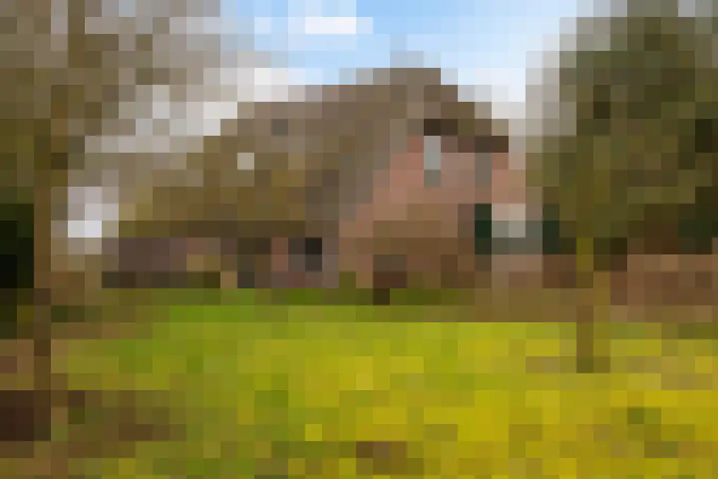 Mepperstraat 40 Meppen thumbnail 8
