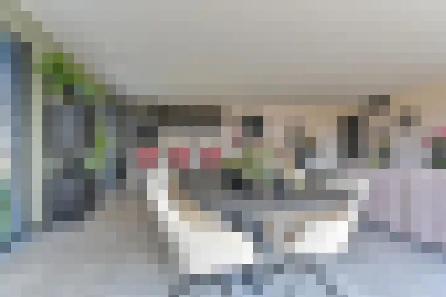 Mepperstraat 52 Meppen thumbnail 45