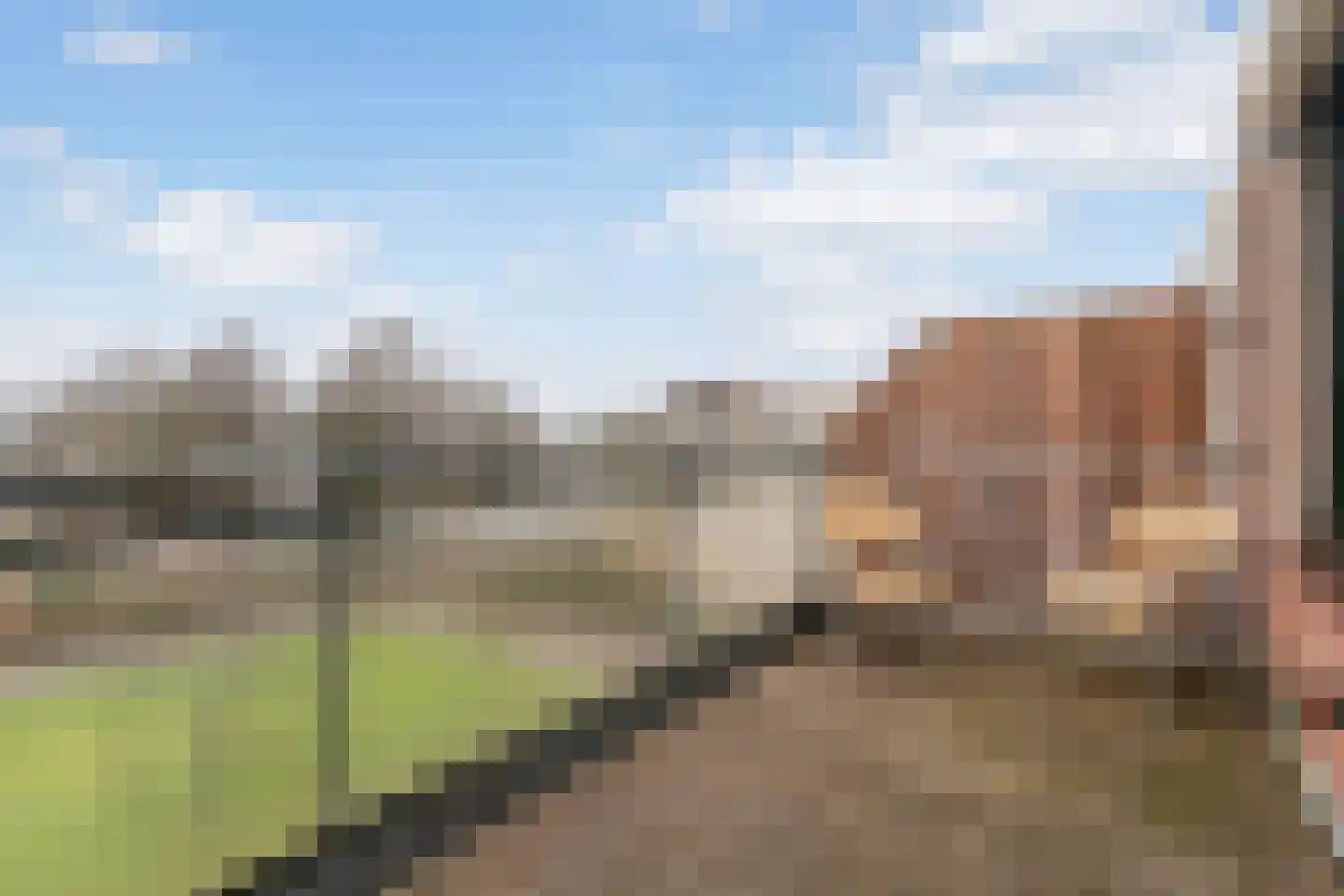 Meranti 120 Dordrecht thumbnail 27