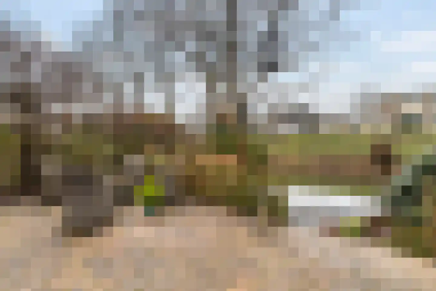 Meranti 120 Dordrecht thumbnail 31
