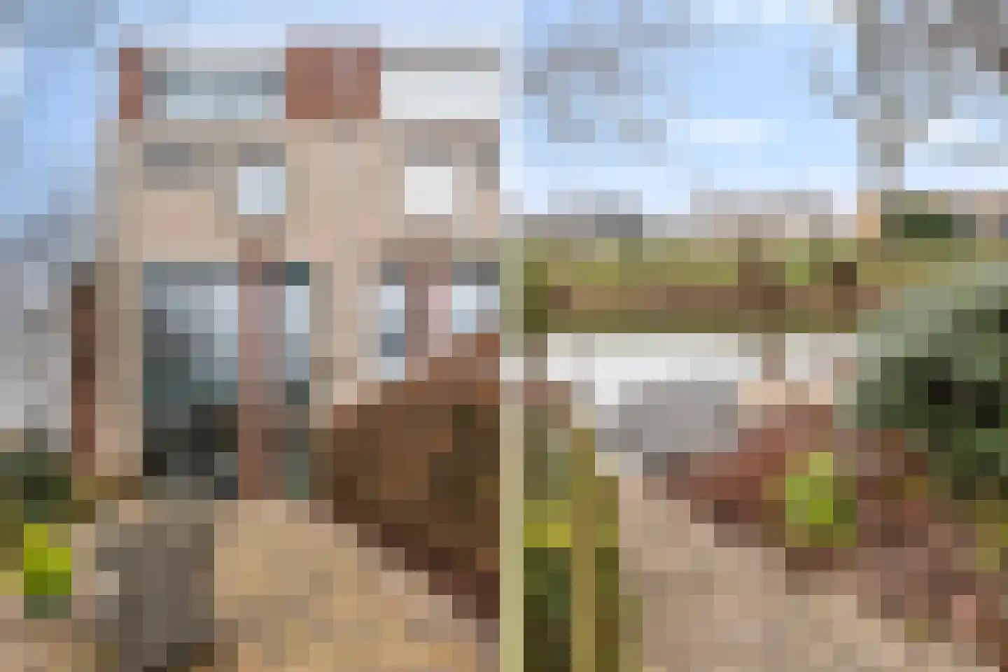 Meranti 120 Dordrecht thumbnail 34