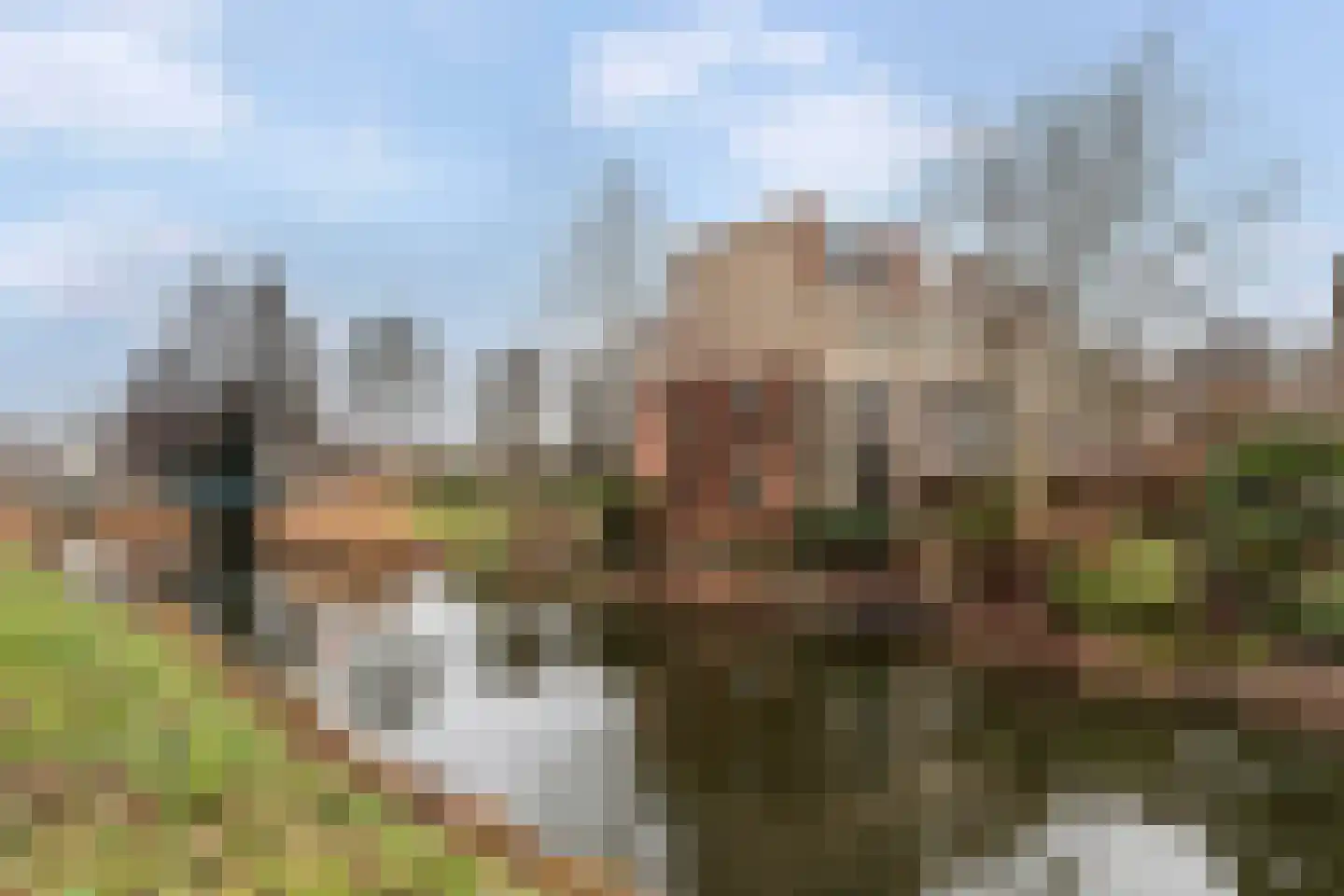 Meranti 120 Dordrecht thumbnail 37
