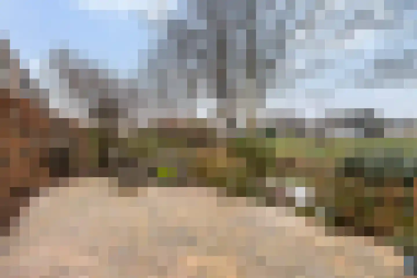 Meranti 120 Dordrecht thumbnail 5
