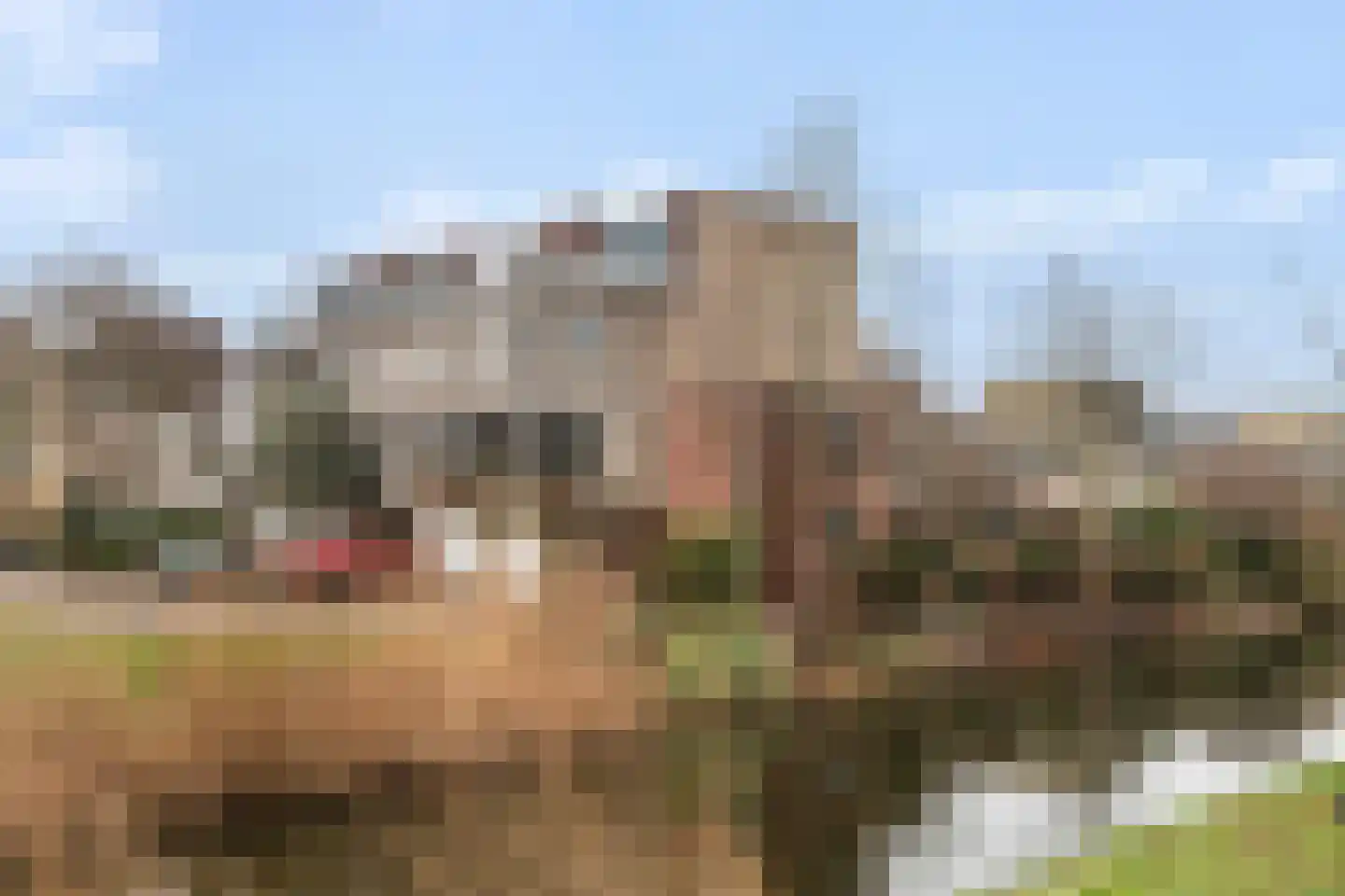 Meranti 120 Dordrecht thumbnail 6
