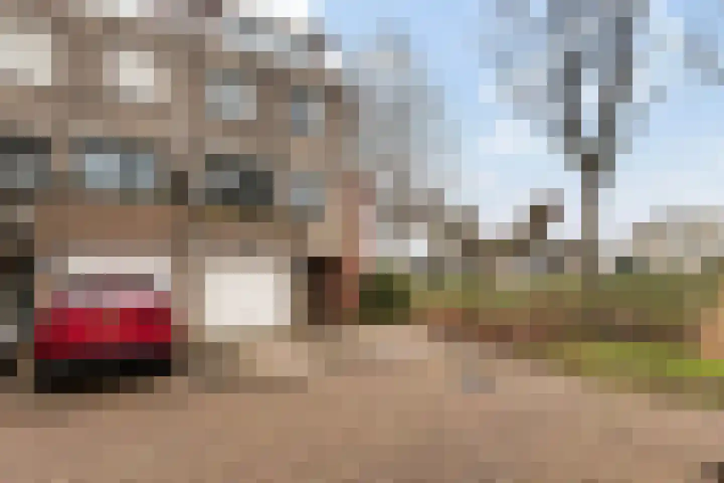 Meranti 120 Dordrecht thumbnail 7