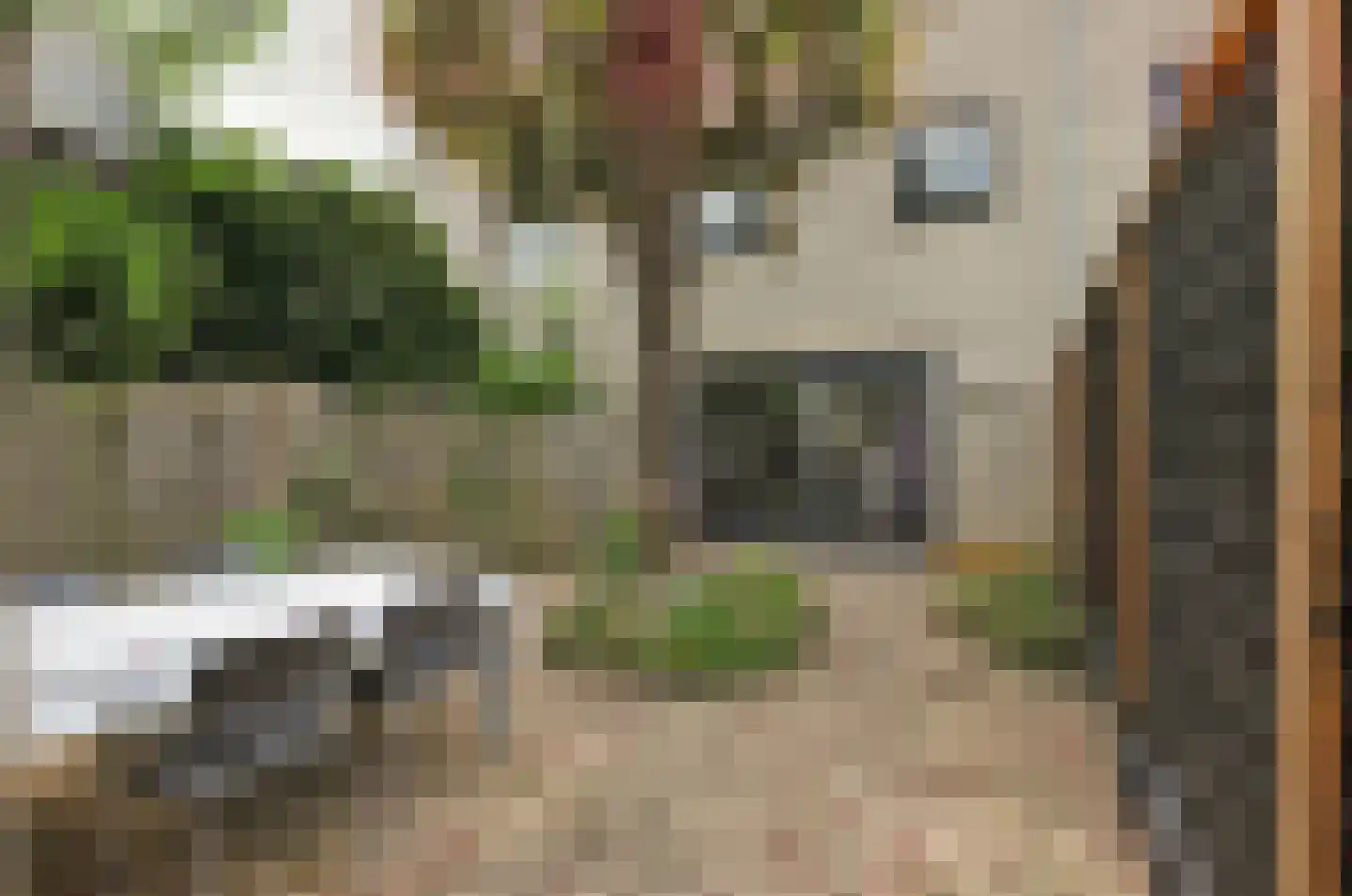 Meranti 180 Dordrecht thumbnail 37