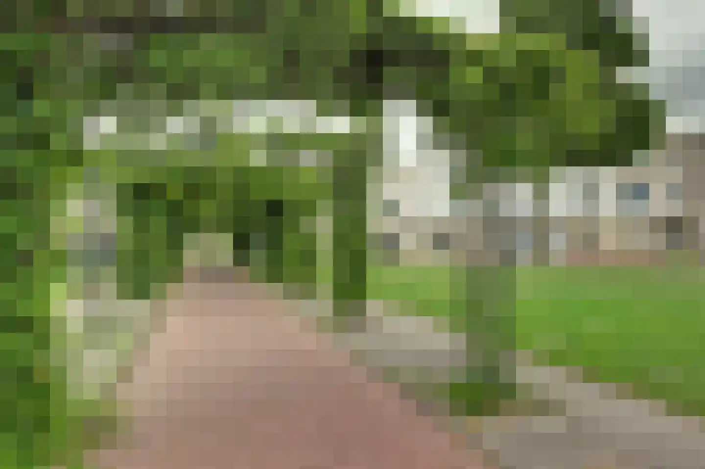 Meranti 180 Dordrecht thumbnail 48