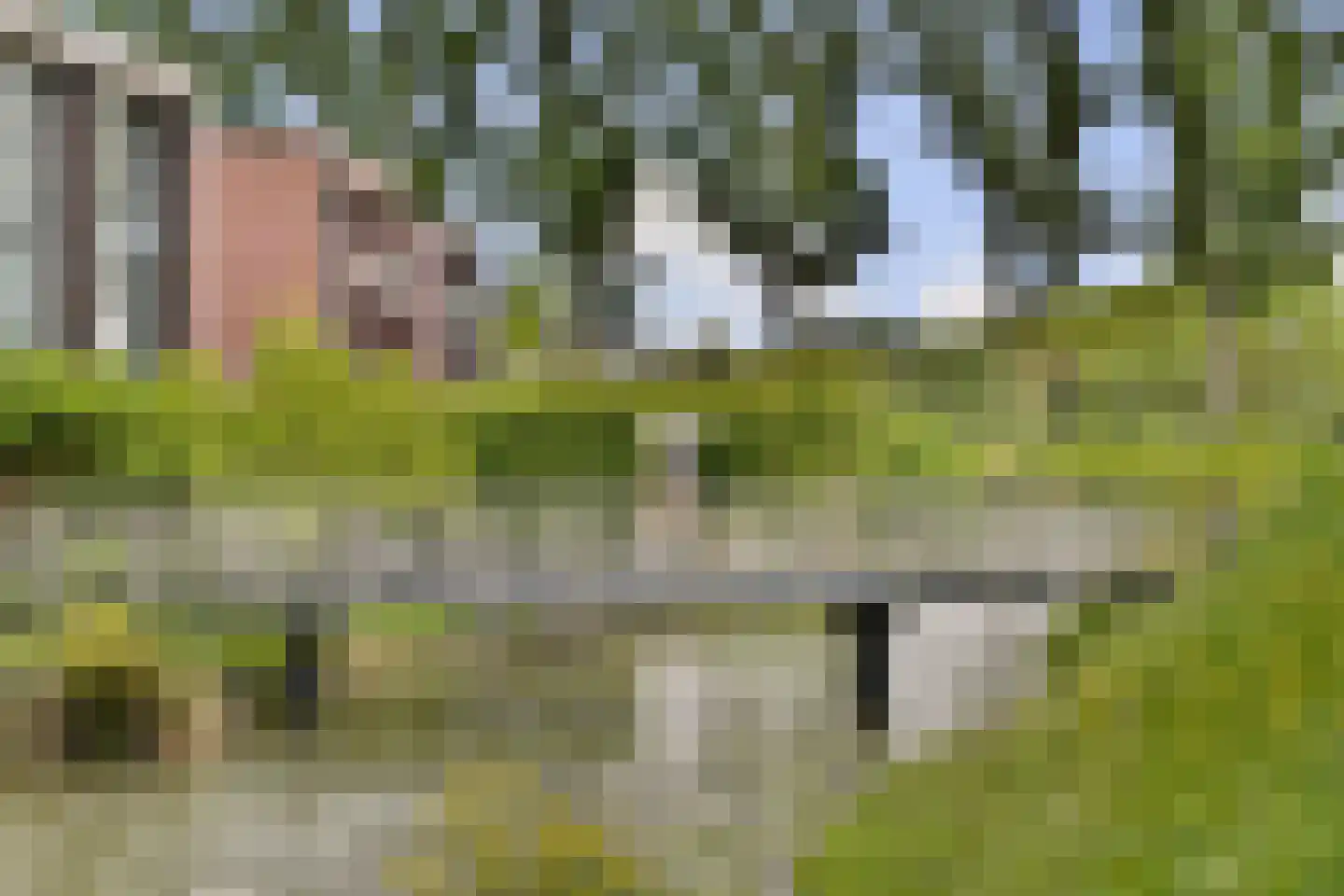 Meranti 183 Dordrecht thumbnail 37