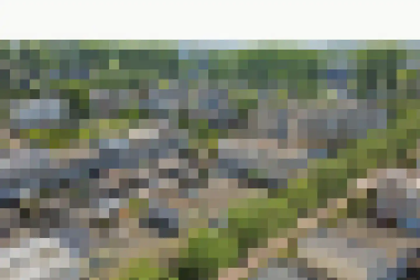 Meranti 220 Dordrecht thumbnail 34