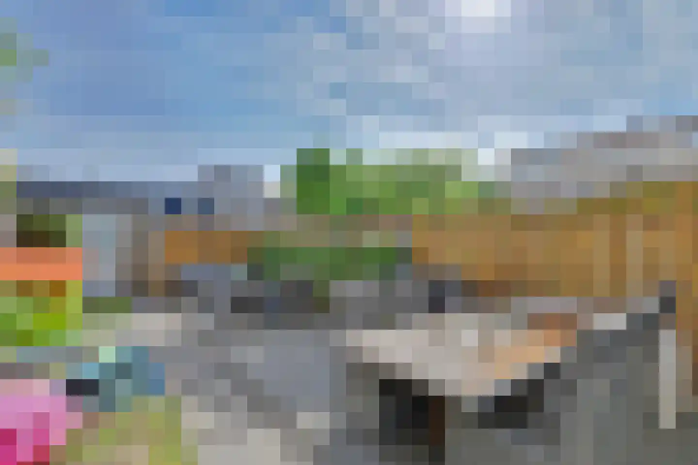 Meranti 220 Dordrecht thumbnail 6