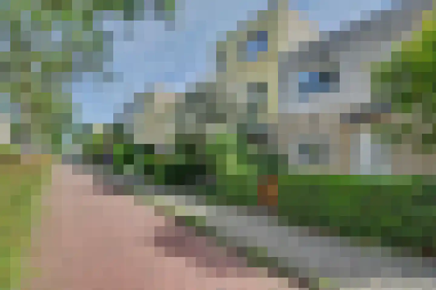 Meranti 220 Dordrecht thumbnail 8