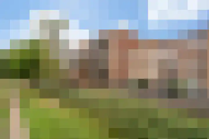 Merantihout 50 Barendrecht thumbnail 37