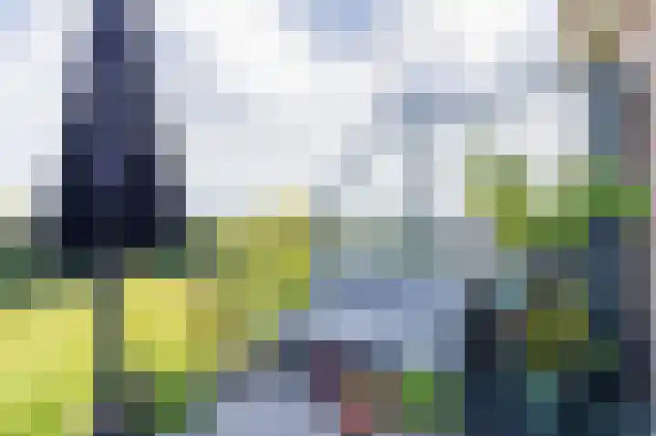 Merantihout 54 Barendrecht thumbnail 31