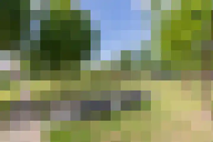 Merantihout 54 Barendrecht thumbnail 35