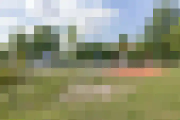 Merantihout 54 Barendrecht thumbnail 36