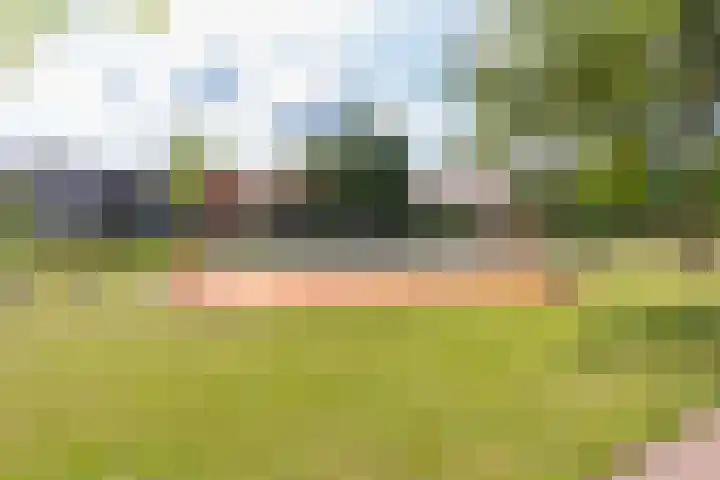 Merantihout 54 Barendrecht thumbnail 37