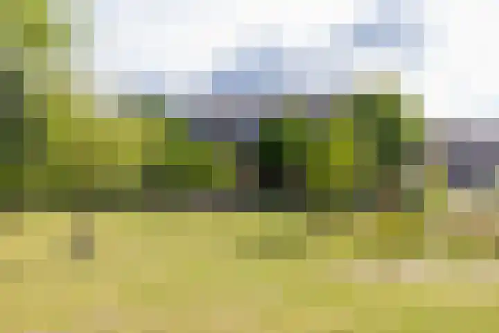 Merantihout 54 Barendrecht thumbnail 38