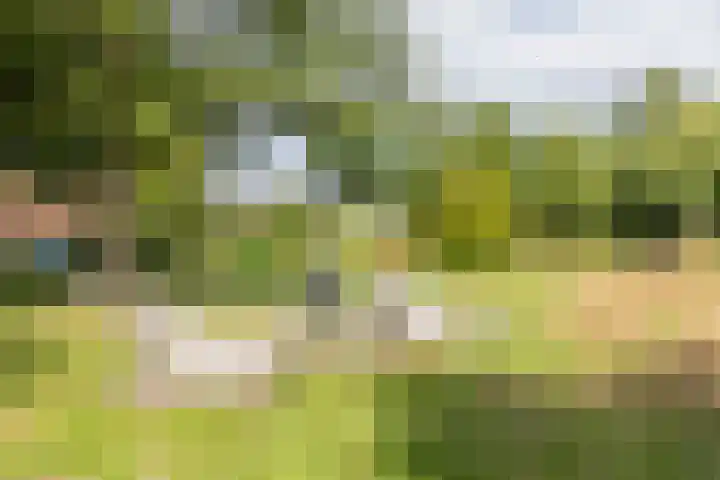 Merantihout 54 Barendrecht thumbnail 39
