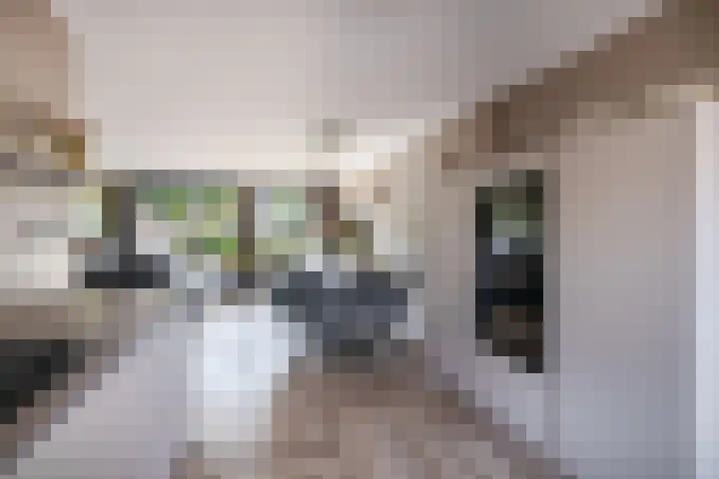 Merantistraat 48 Rotterdam thumbnail 16