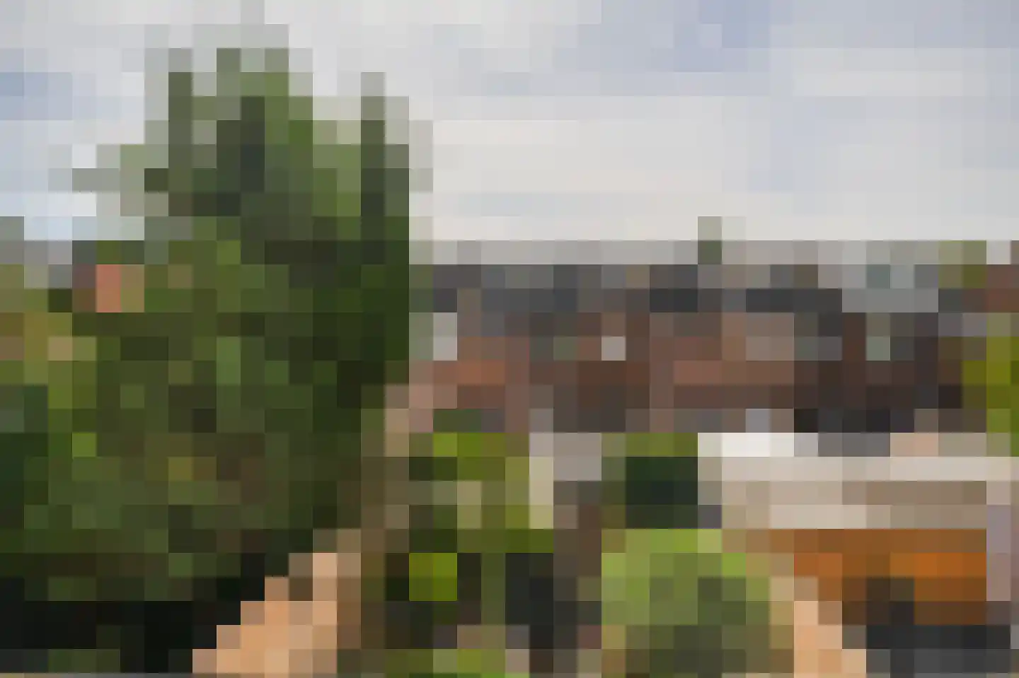 Merantistraat 48 Rotterdam thumbnail 38