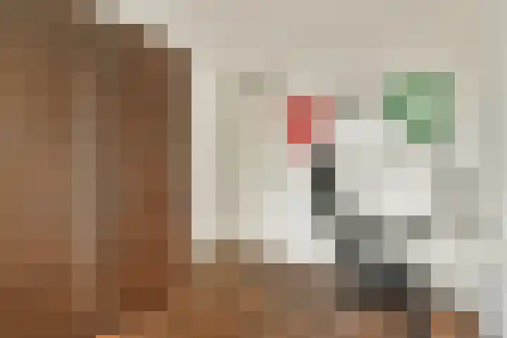Merantistraat 93 Rotterdam thumbnail 21
