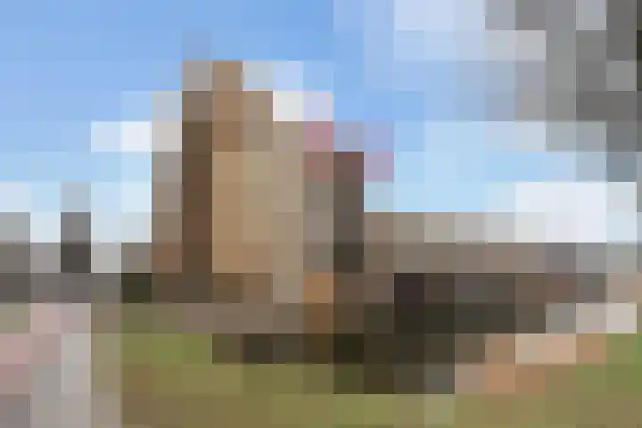 Merbau 106 in Dordrecht