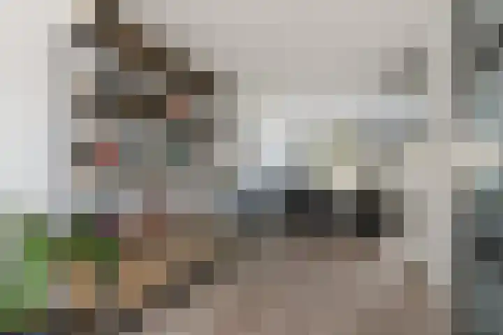 Merbau 111 Dordrecht thumbnail 17