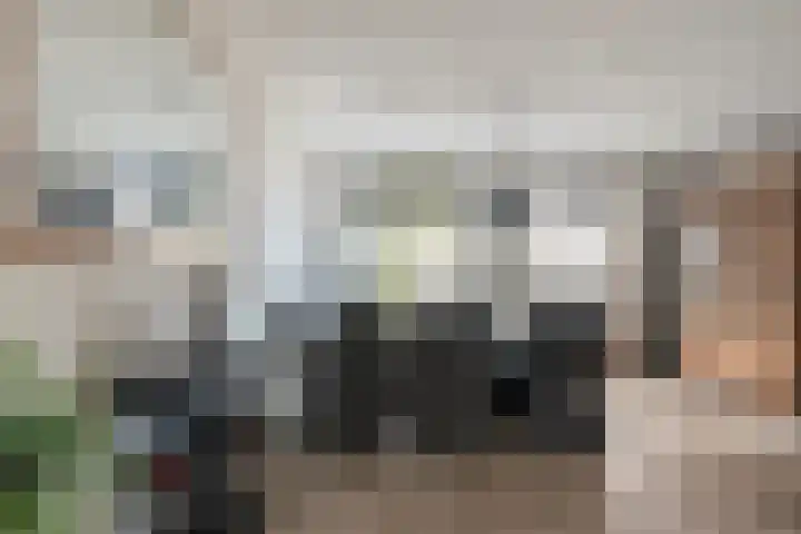 Merbau 111 Dordrecht thumbnail 18