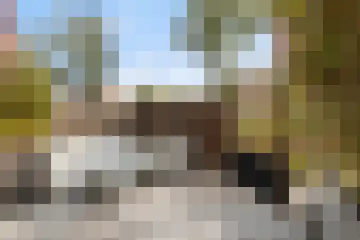 Merbau 111 Dordrecht thumbnail 36