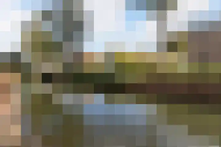 Merbau 111 Dordrecht thumbnail 41