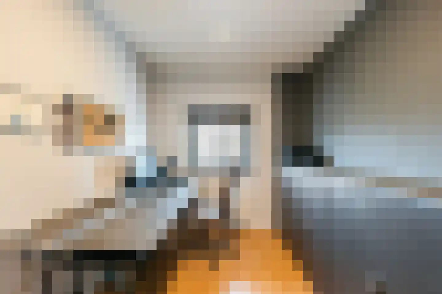 Merbau 115 Dordrecht thumbnail 32