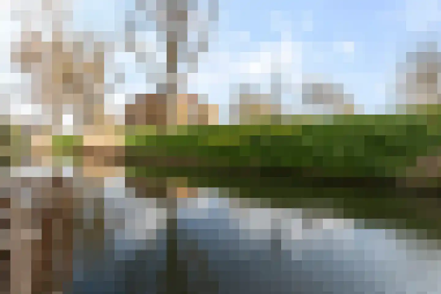 Merbau 115 Dordrecht thumbnail 48