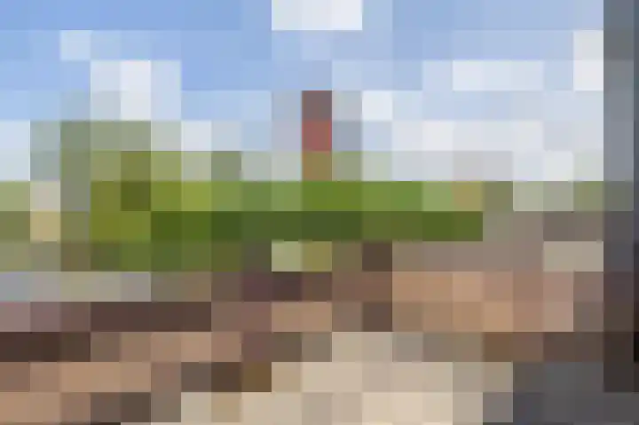 Merbau 180 Dordrecht thumbnail 34