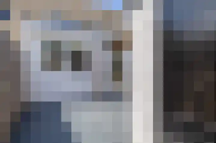 Merbau 180 Dordrecht thumbnail 38
