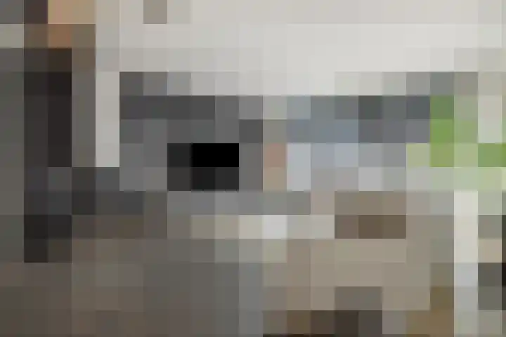 Merbau 3 Rosmalen thumbnail 10