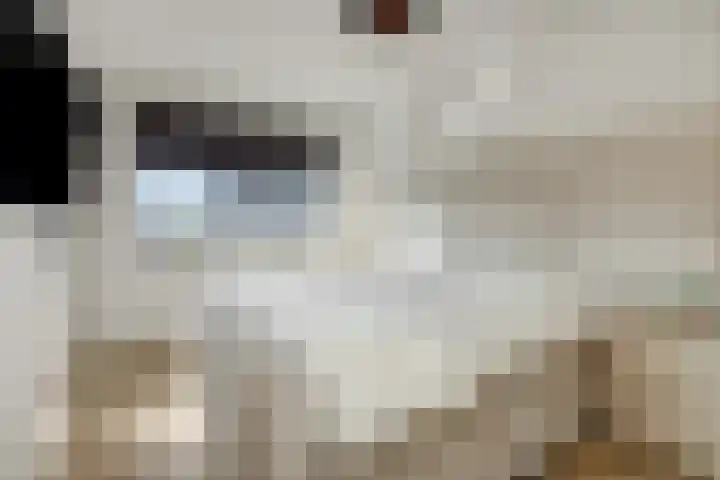 Merbau 3 Rosmalen thumbnail 17
