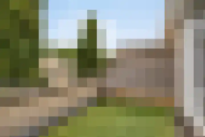 Merbau 72 Dordrecht thumbnail 44