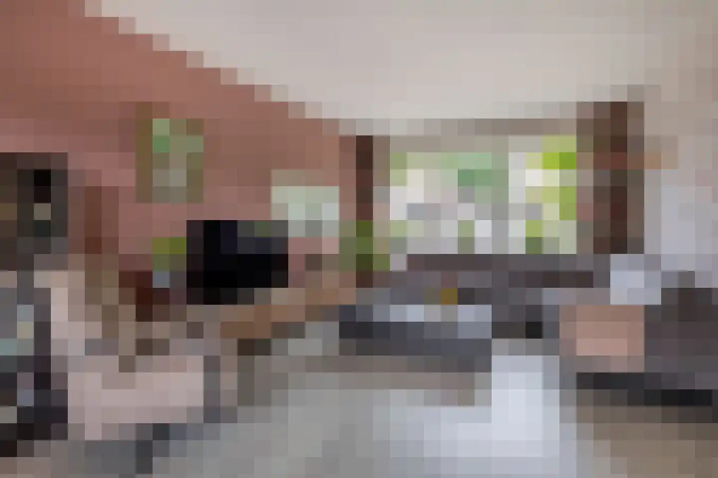 Mercatorlaan 25 Spijkenisse thumbnail 11