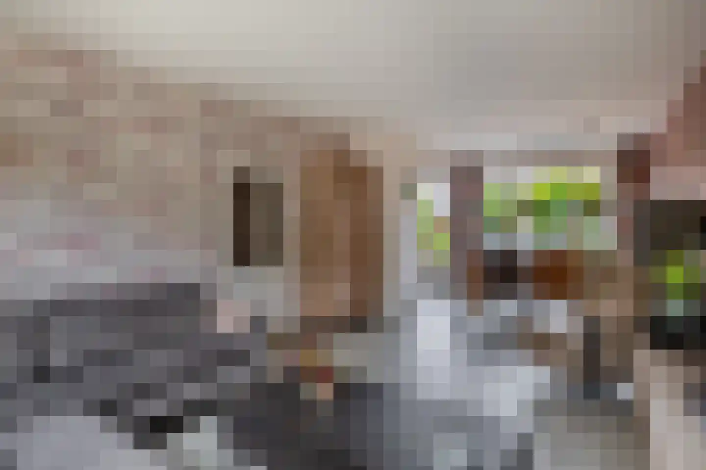 Mercatorlaan 25 Spijkenisse thumbnail 12
