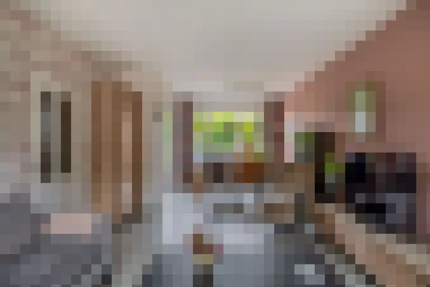 Mercatorlaan 25 Spijkenisse thumbnail 13